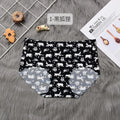Kawaii Hello Kitty Silk Panties